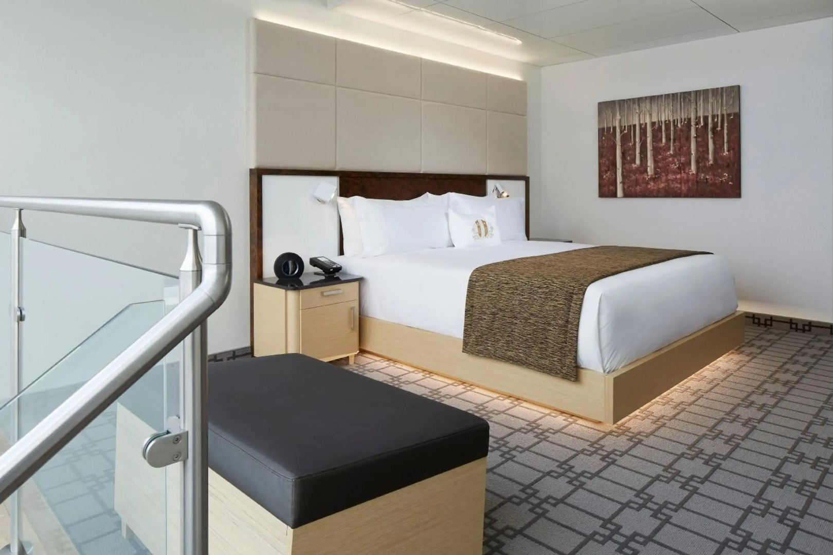 Foto - Le Mount Stephen