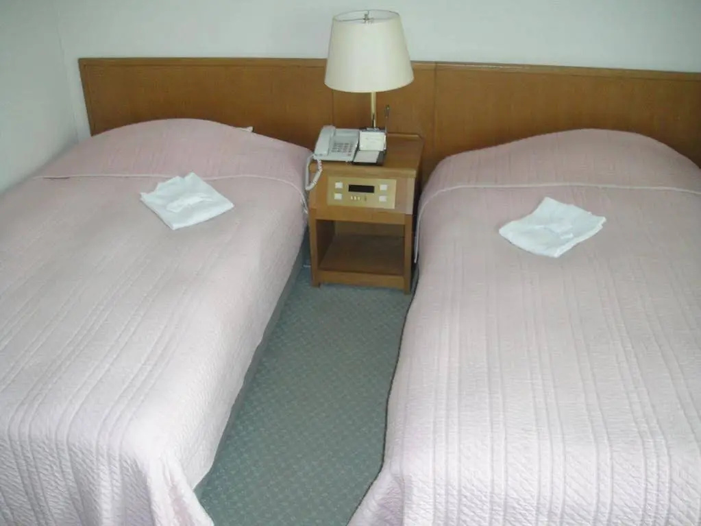 Hotel New Mogamiya