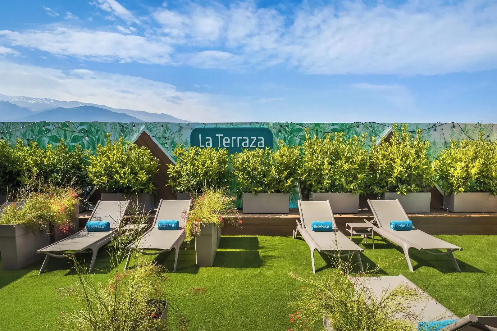 Foto - Occidental Granada