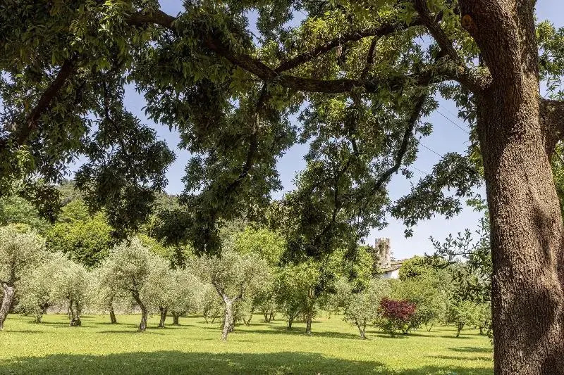 Photo - Hotel Villa San Michele