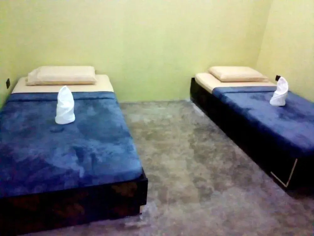 Foto - Big Paul Hostel