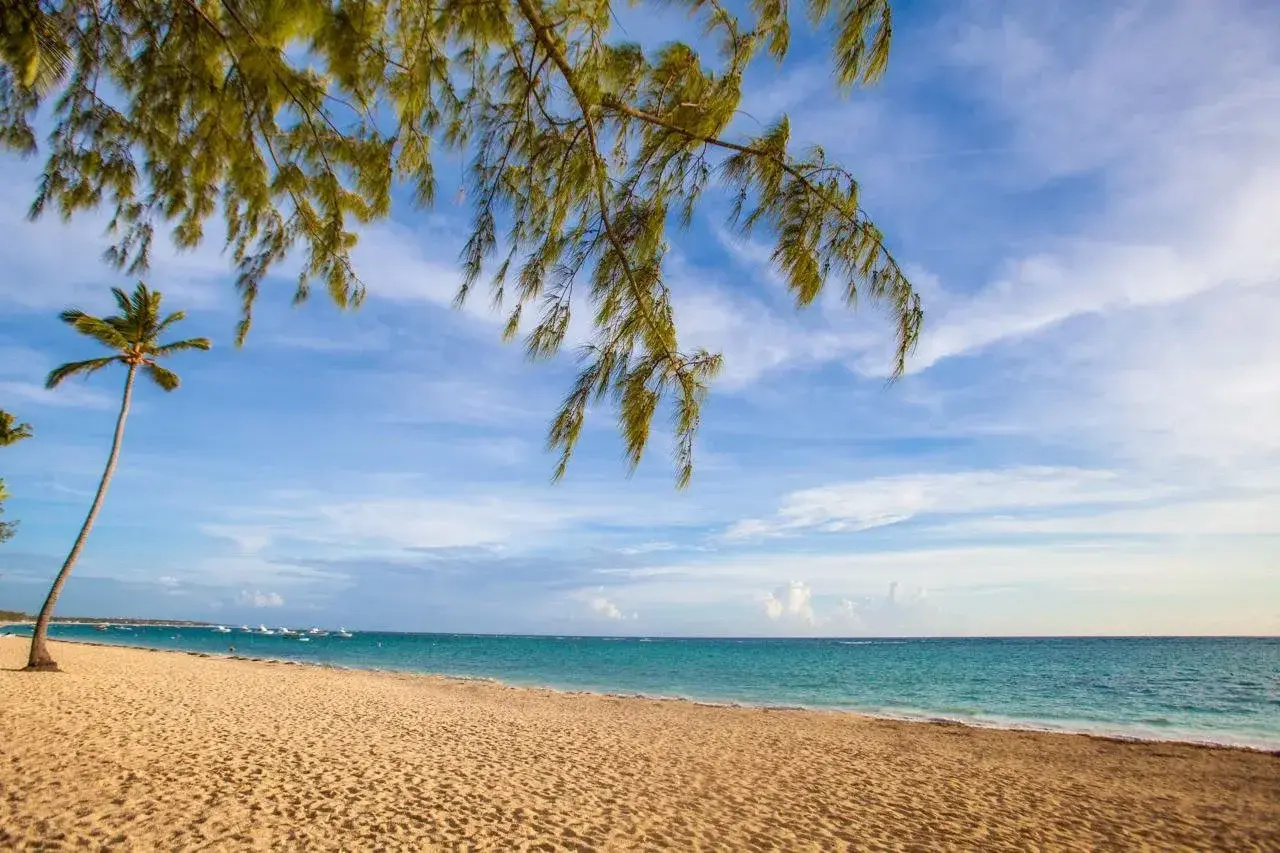 Foto - Vista Sol Punta Cana Beach Resort & Spa - All Inclusive