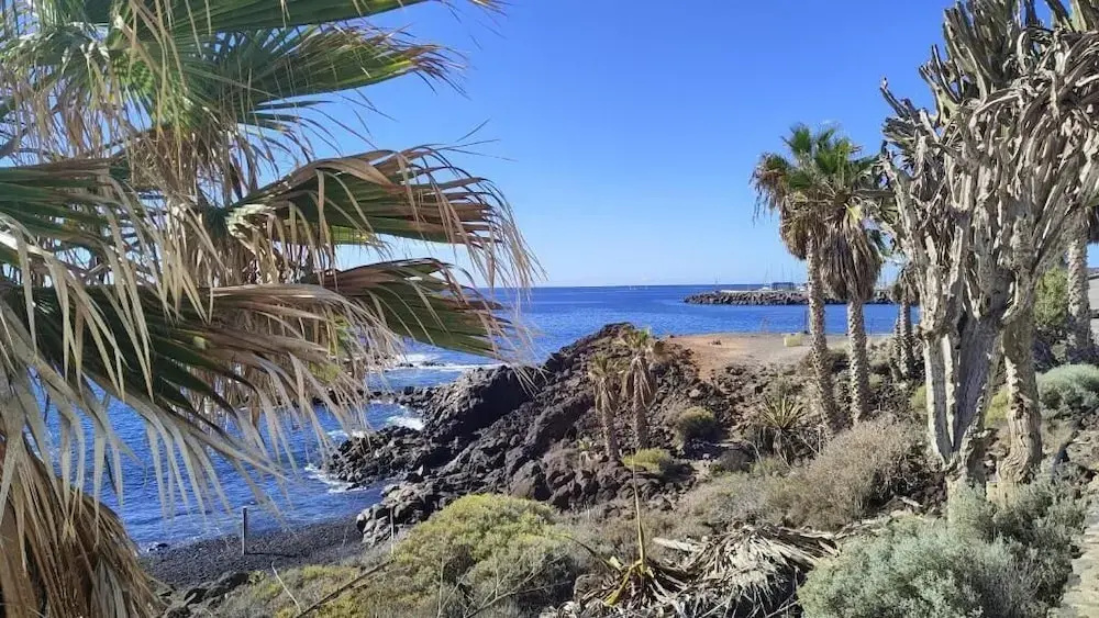 Photo - Surf Harbour Homestay