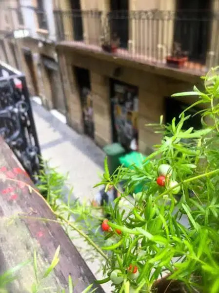 Foto - Pensión Santa Clara