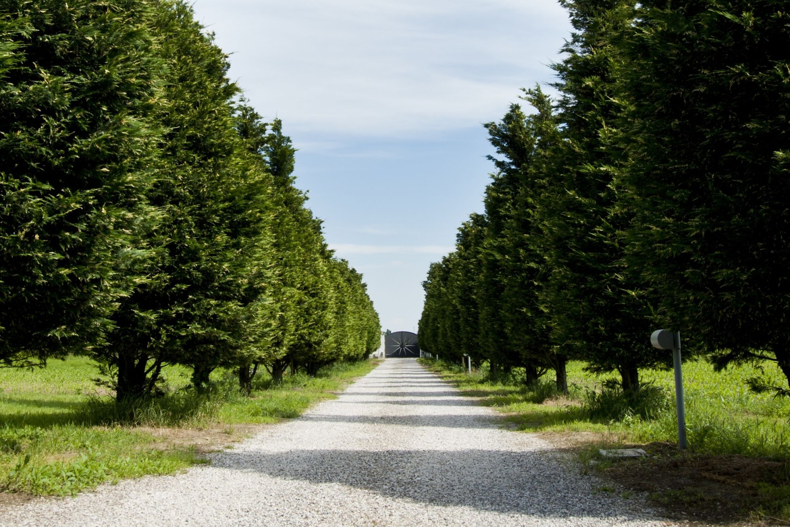 Foto - Il Giardino di Rebecca