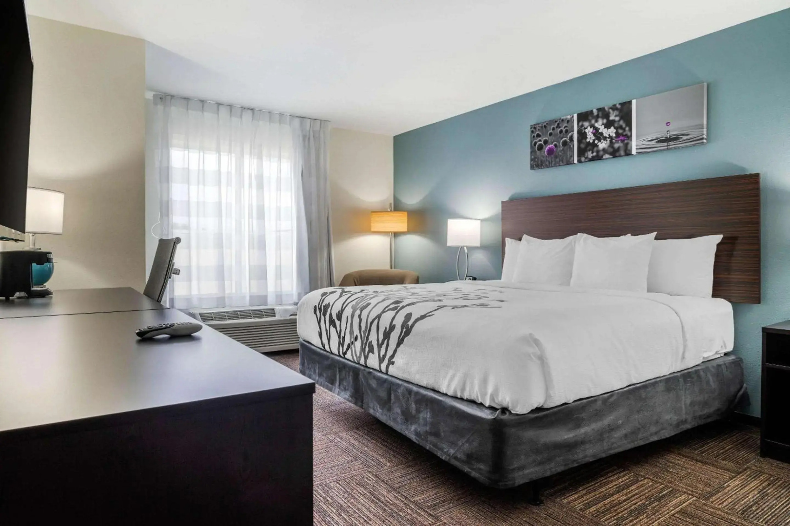 Photo - Sleep Inn & Suites near Westchase