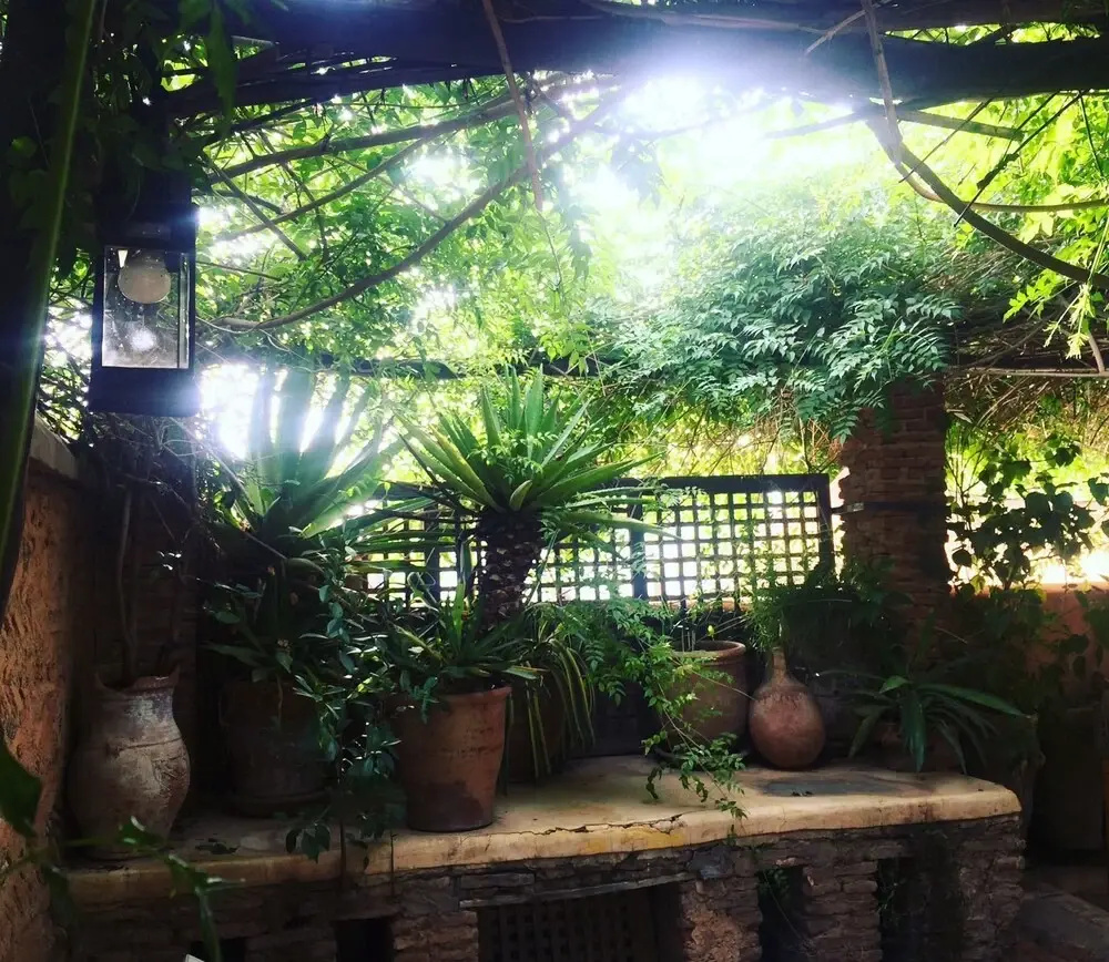 Photo - Riad Tibibt