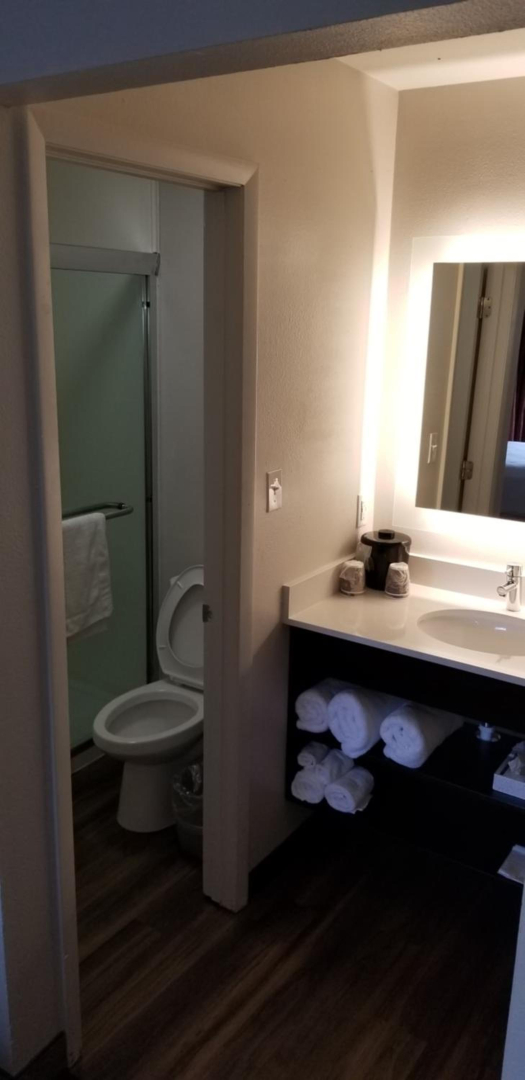 Foto - Hotel South Tampa & Suites