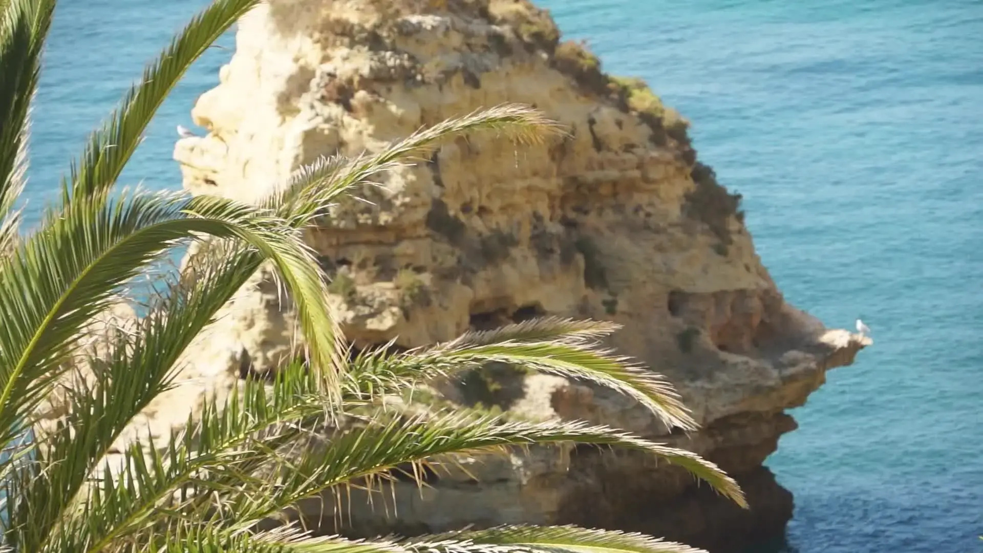 Foto - Tivoli Carvoeiro