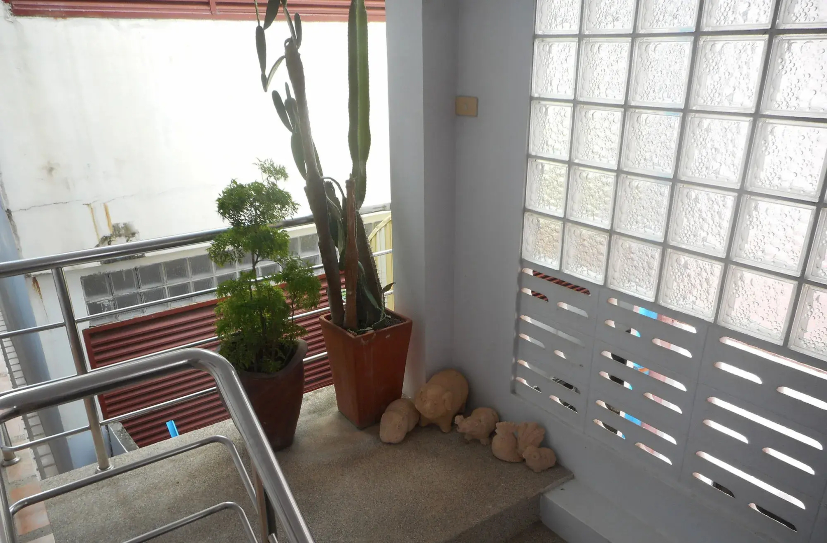 Foto - Kamala Dreams