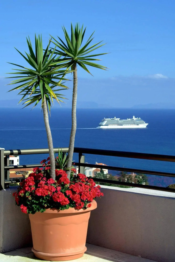 Photo - TUI Blue Gardens - Adults-only - Savoy Signature