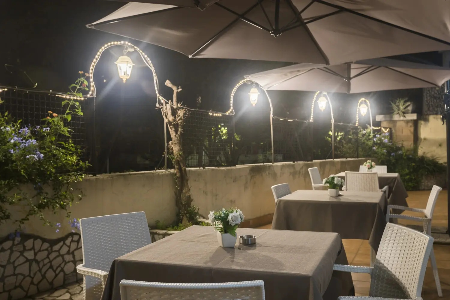 Photo - Hotel Villa Rosa