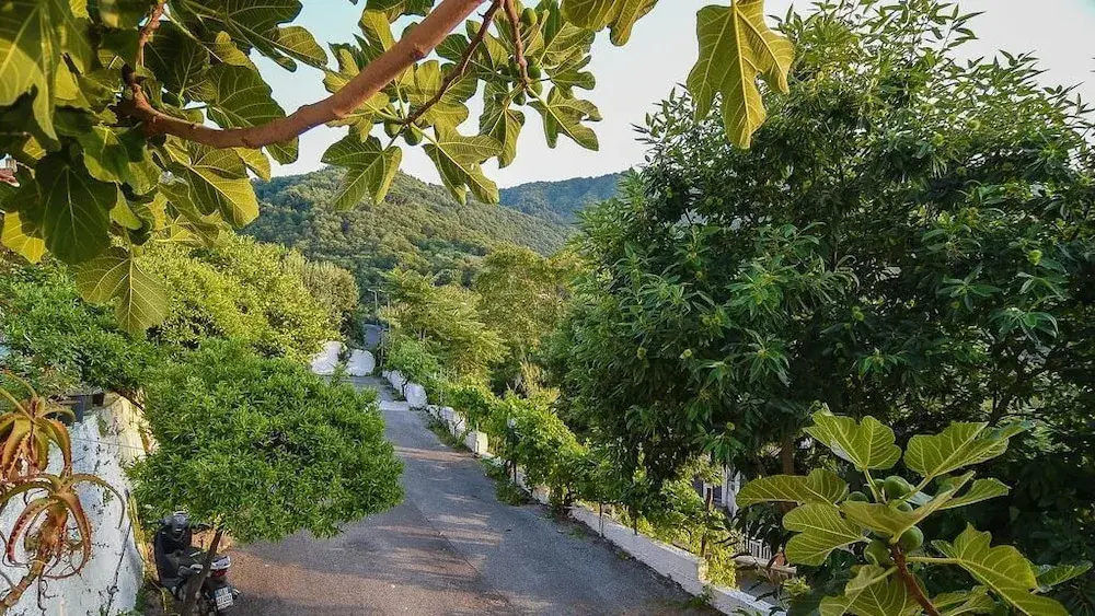 Foto - Giardini di iside e osiride