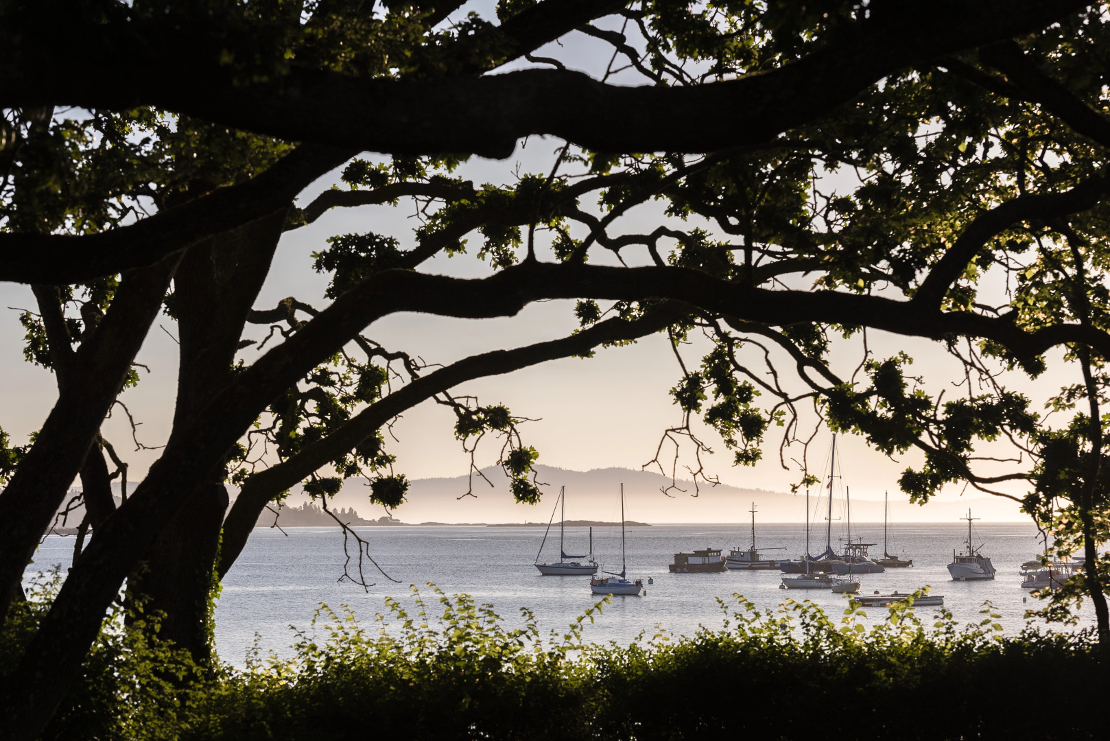 Photo - Holiday Inn Victoria Elk Lake by IHG