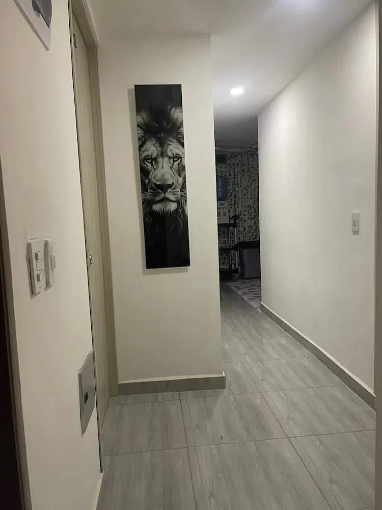 Foto - Hotel boutique Olaya 54