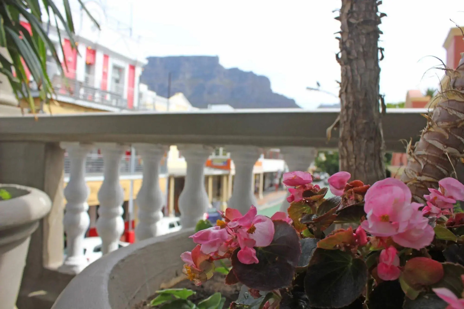 Foto - Long Street Boutique Hotel