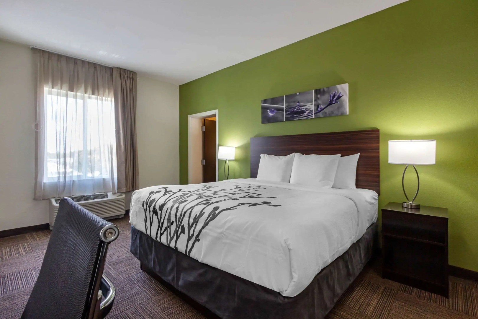 Photo - Sleep Inn & Suites Tampa South