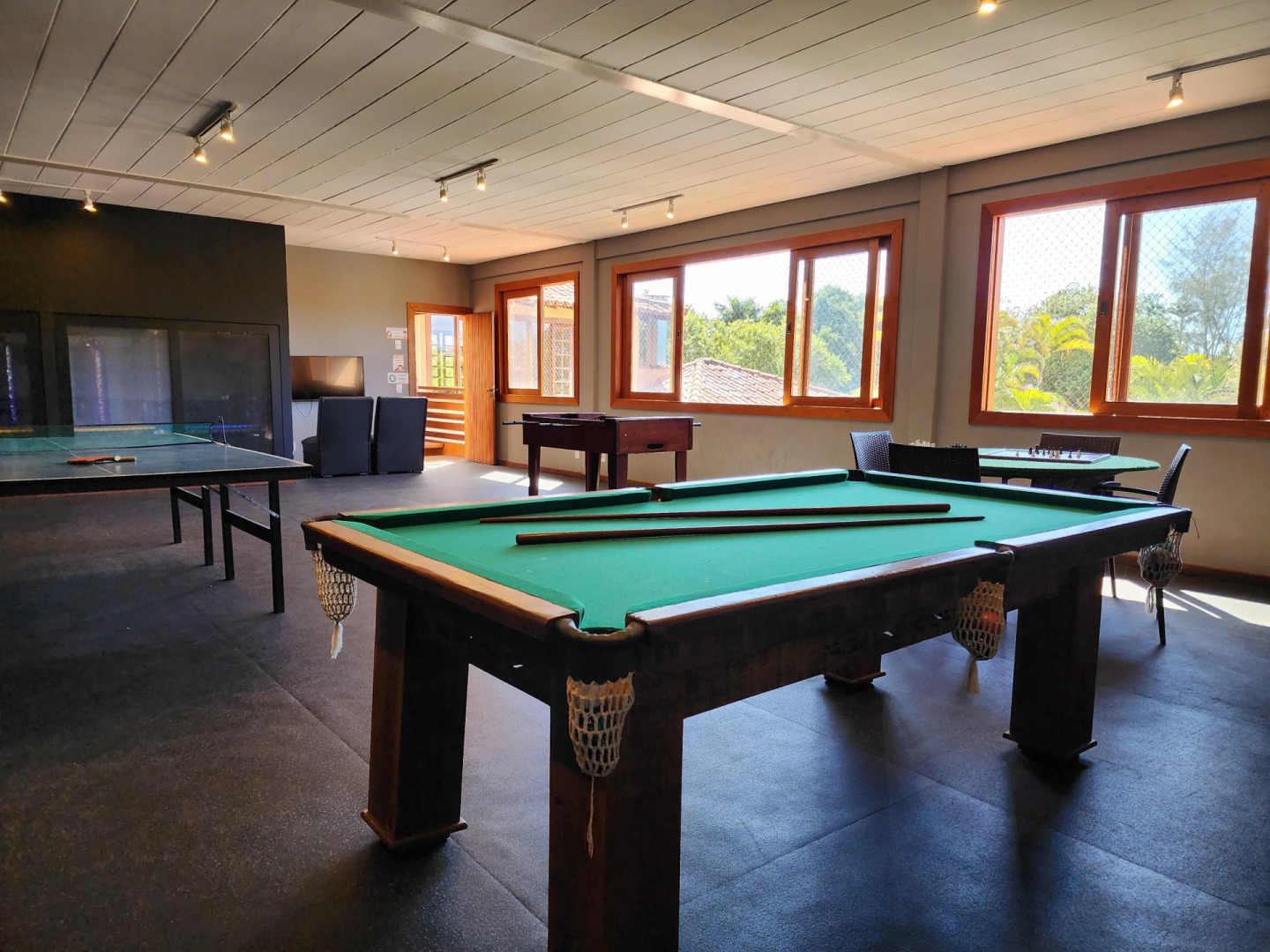 Photo - Corais e Conchas