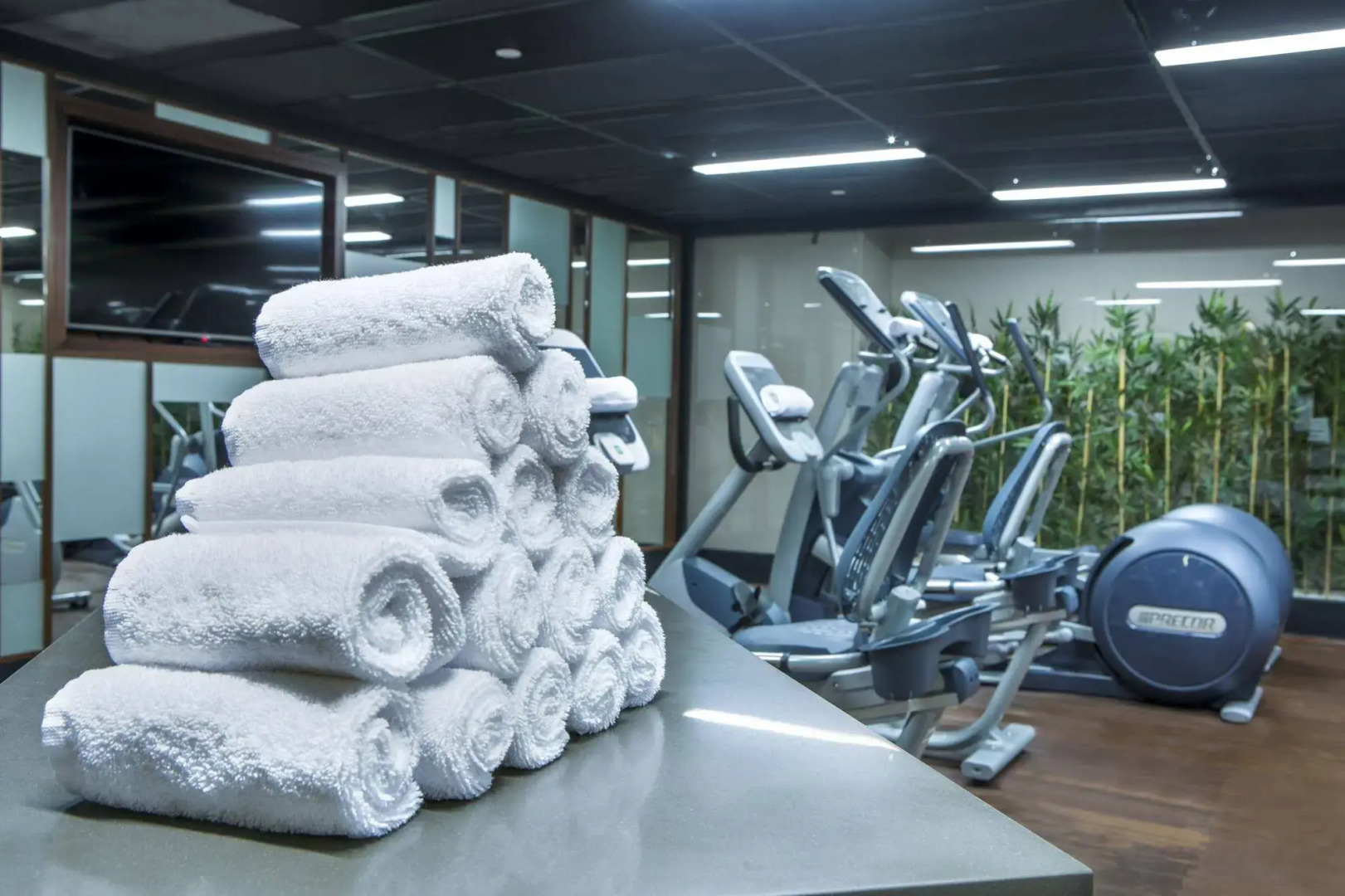 Foto - Hilton Garden Inn Istanbul Atatürk Airport