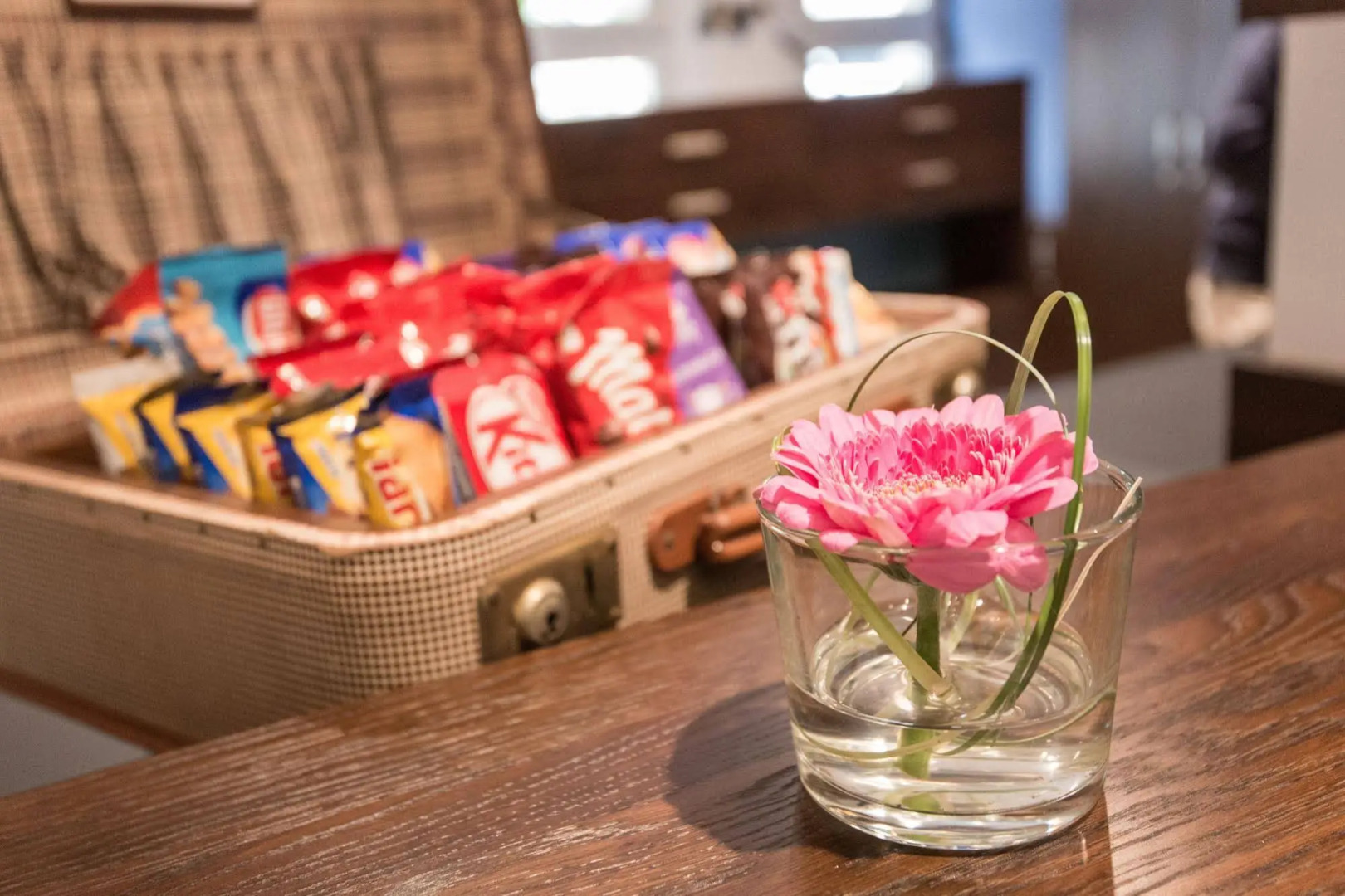 Foto - Hotel Stella Maris