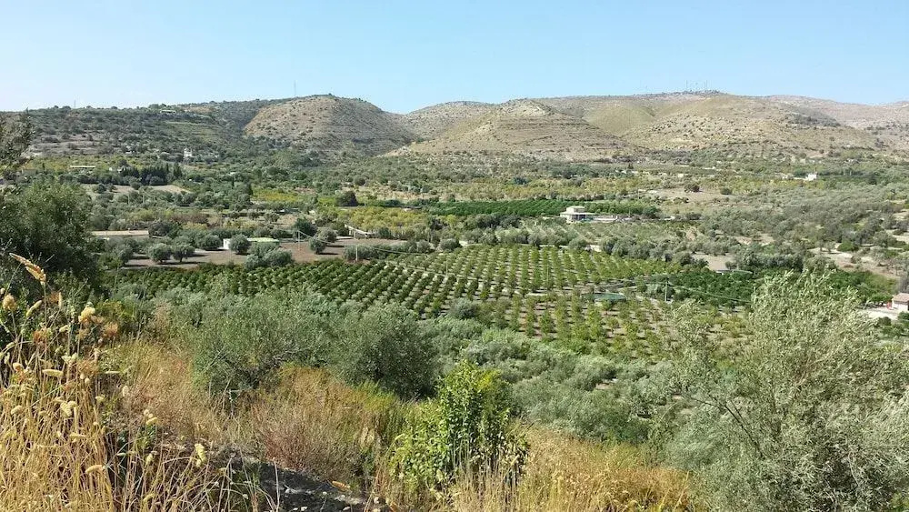 Photo - IUTA Farm