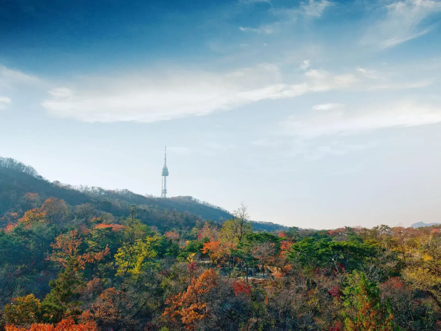 Foto - Banyan Tree Club & Spa Seoul