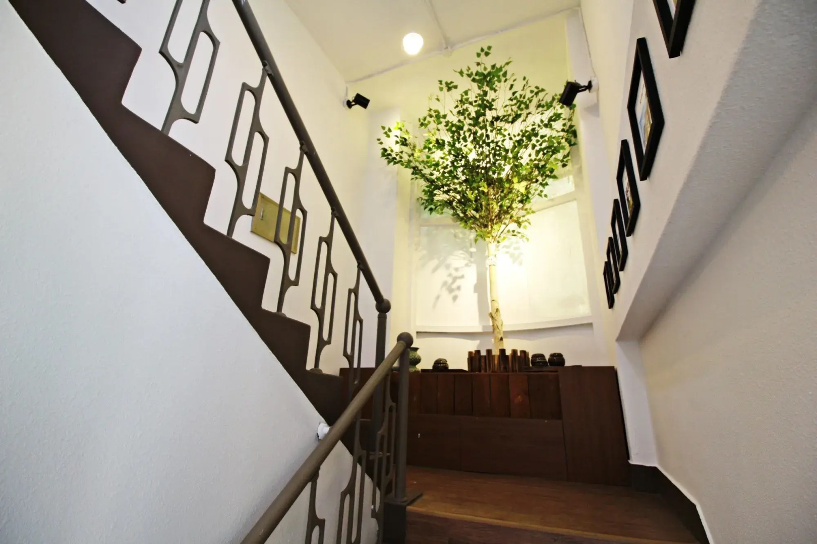 Photo - Cocoa Guesthouse