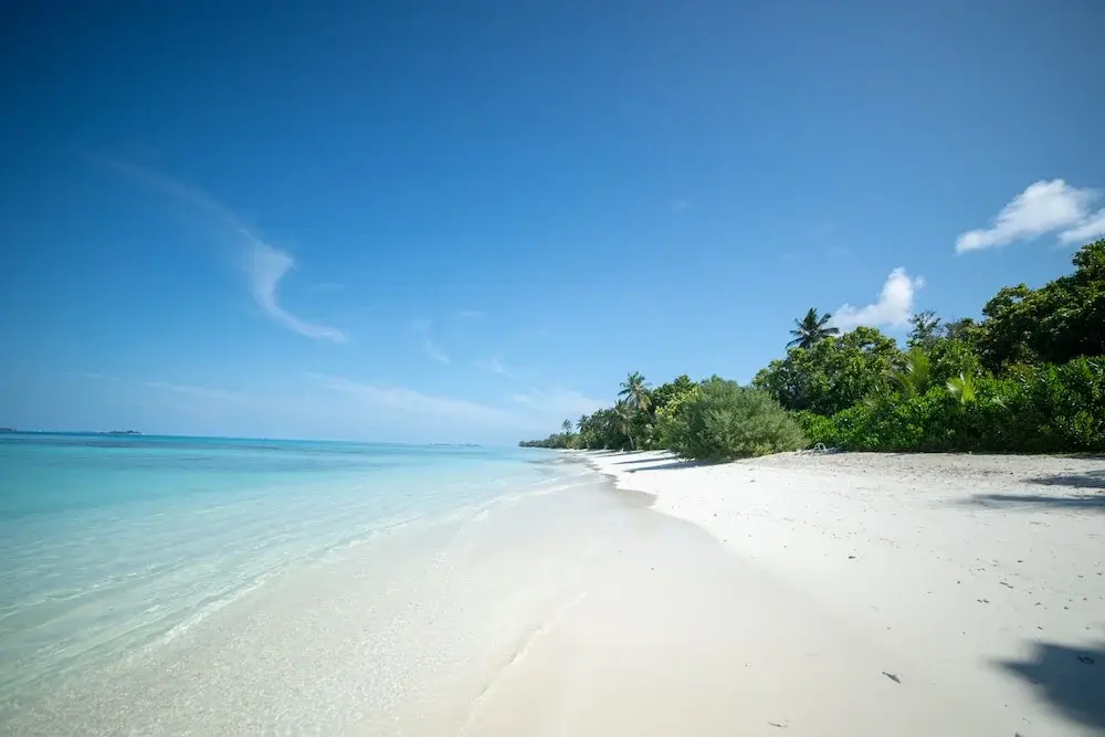 Foto - Whaleshark Beach