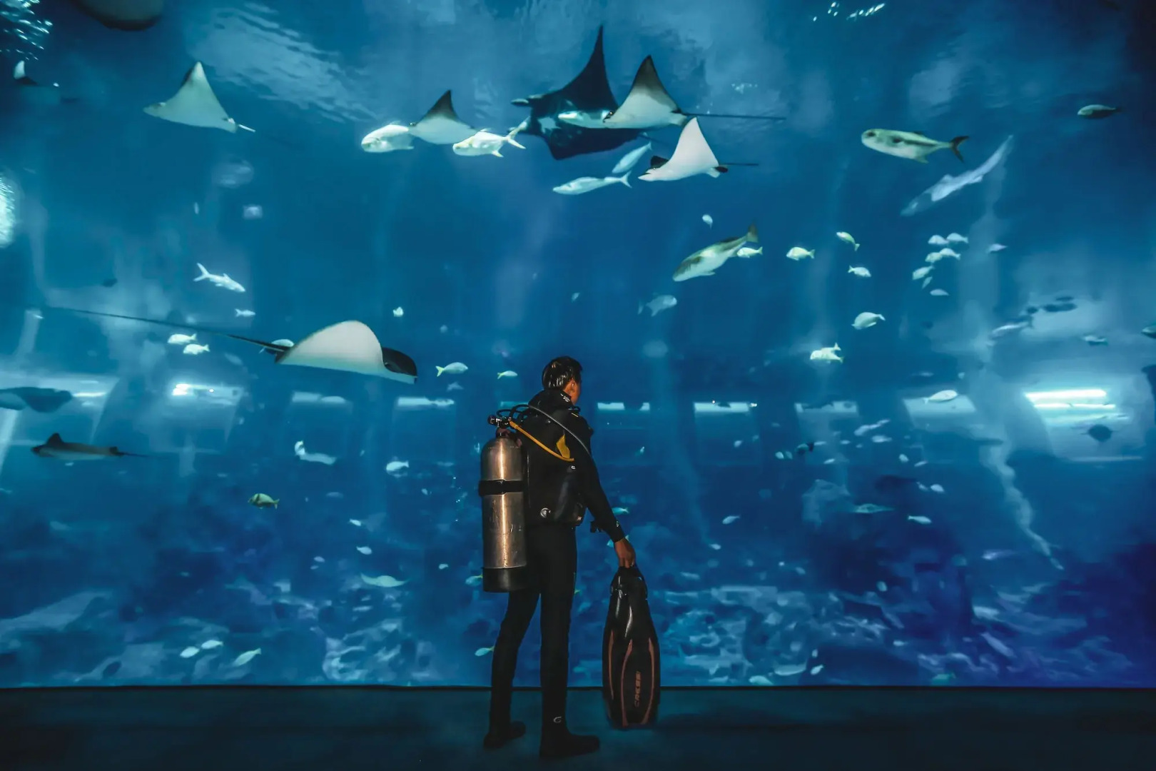 Foto - Resorts World Sentosa - Equarius Hotel