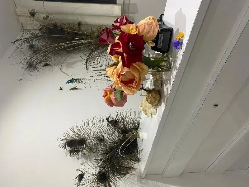 Foto - Elitaş Apart Otel