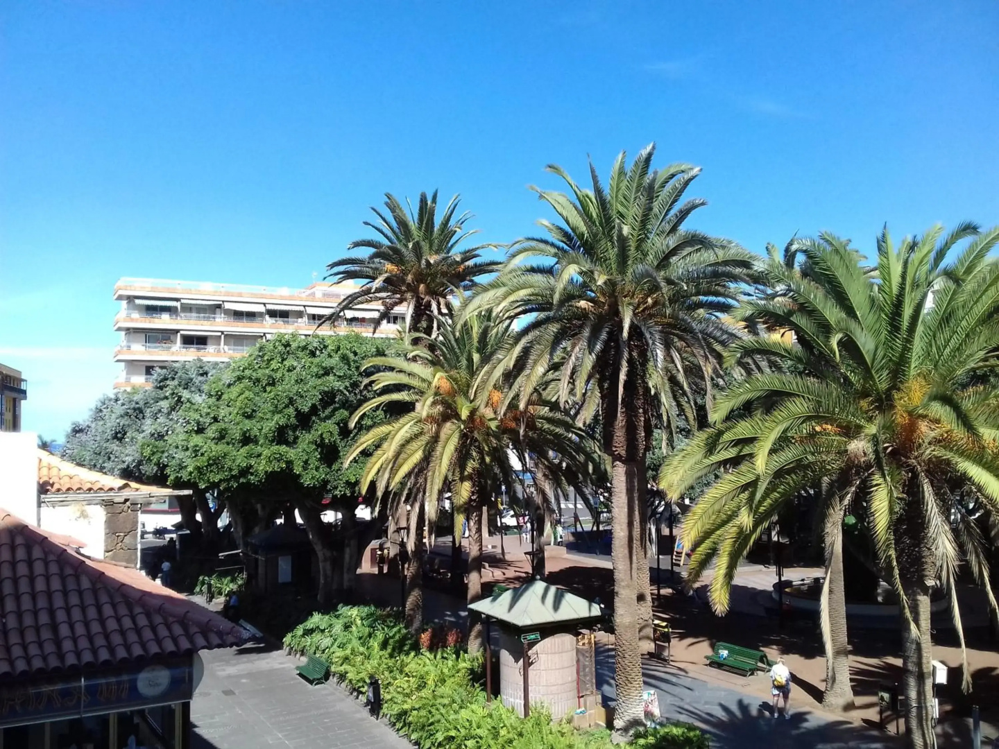 Foto - Hotel Tropical