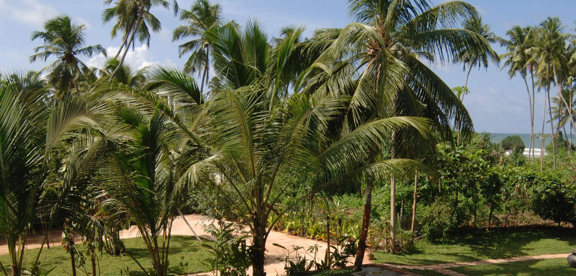 Foto - Wunderbar Beach Hotel