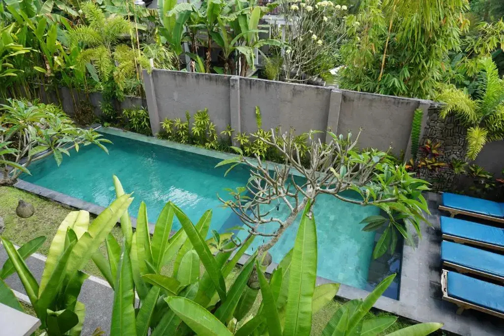Foto - Bali Sila Bisma