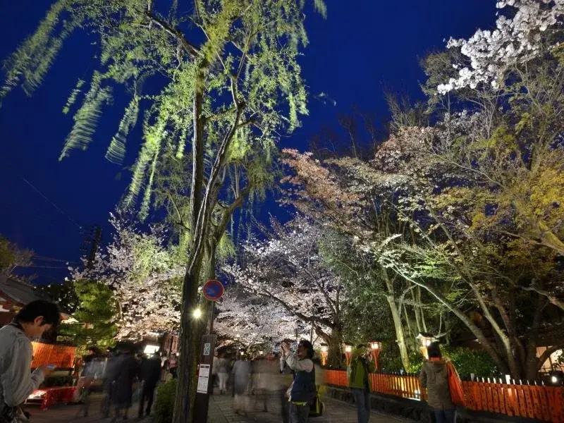 Photo - Gion Fukuzumi