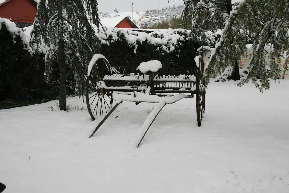 Foto - Tenuta Agricola Fonte di Papa