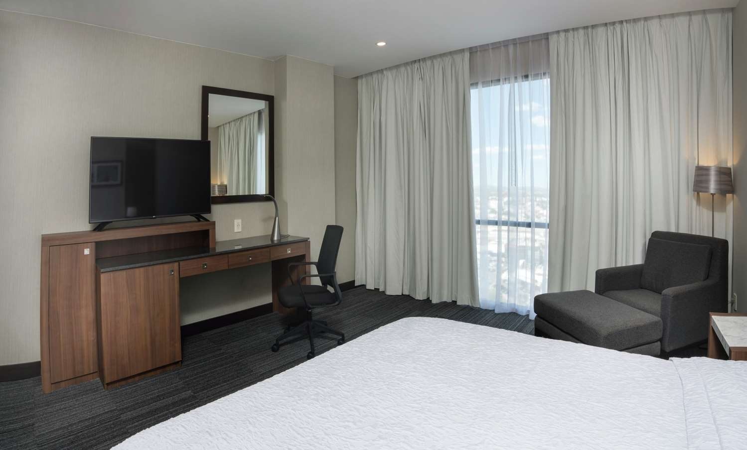 Foto - Hampton Inn San Luis Potosi