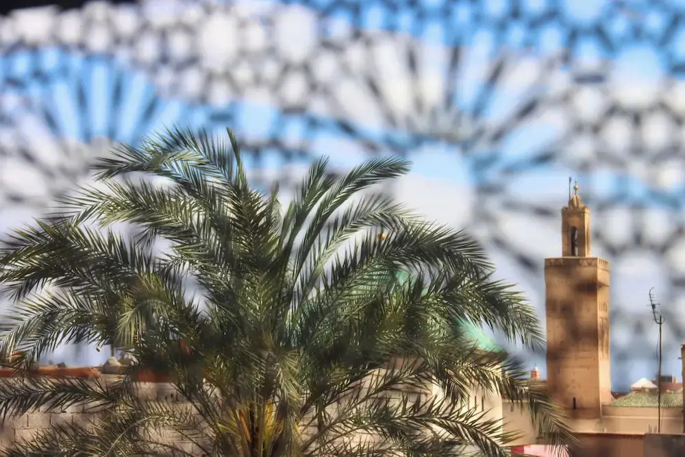 Photo - Riad Banatti