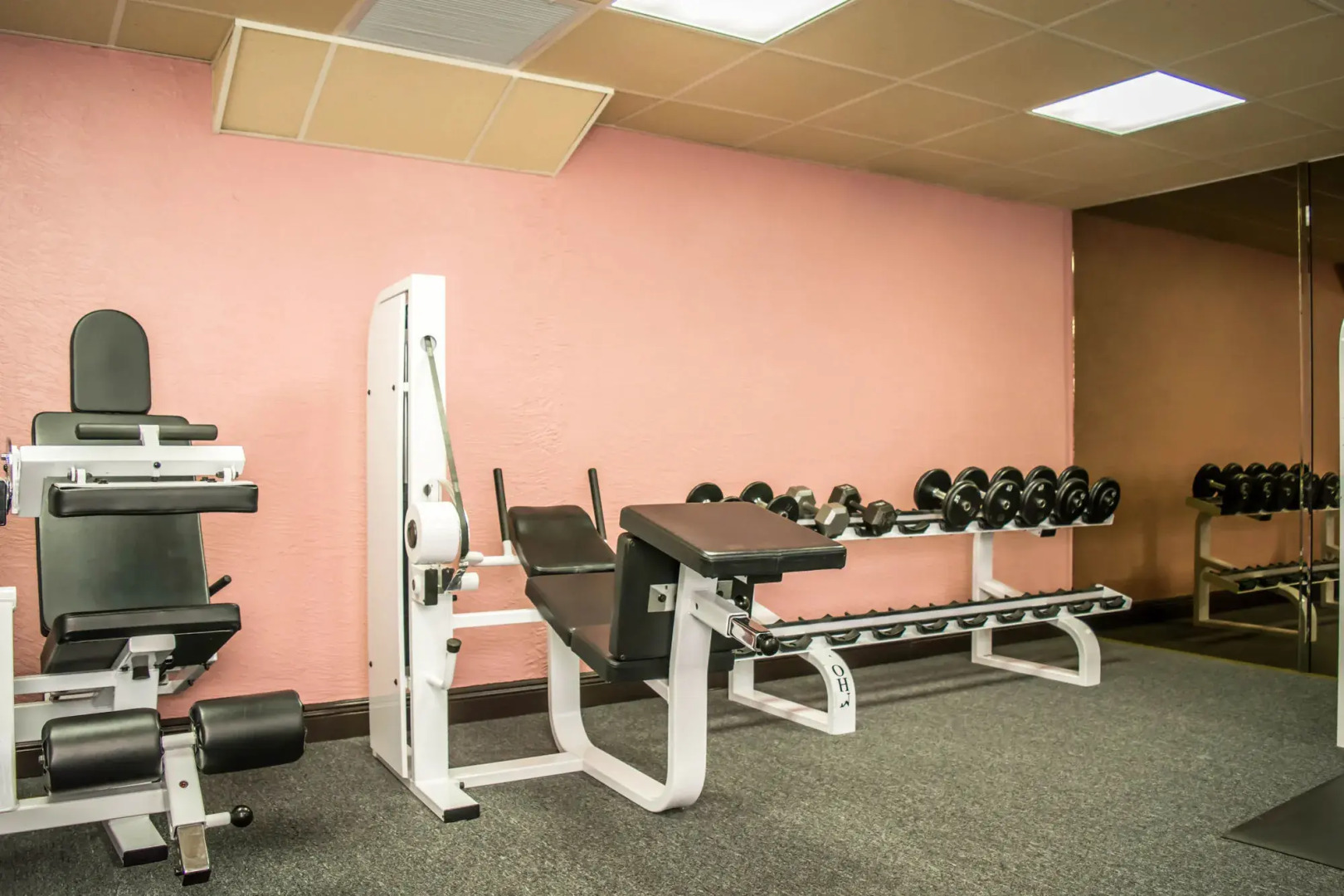 Foto - Clarion Pointe Tampa-Brandon Near Fairgrounds and Casino