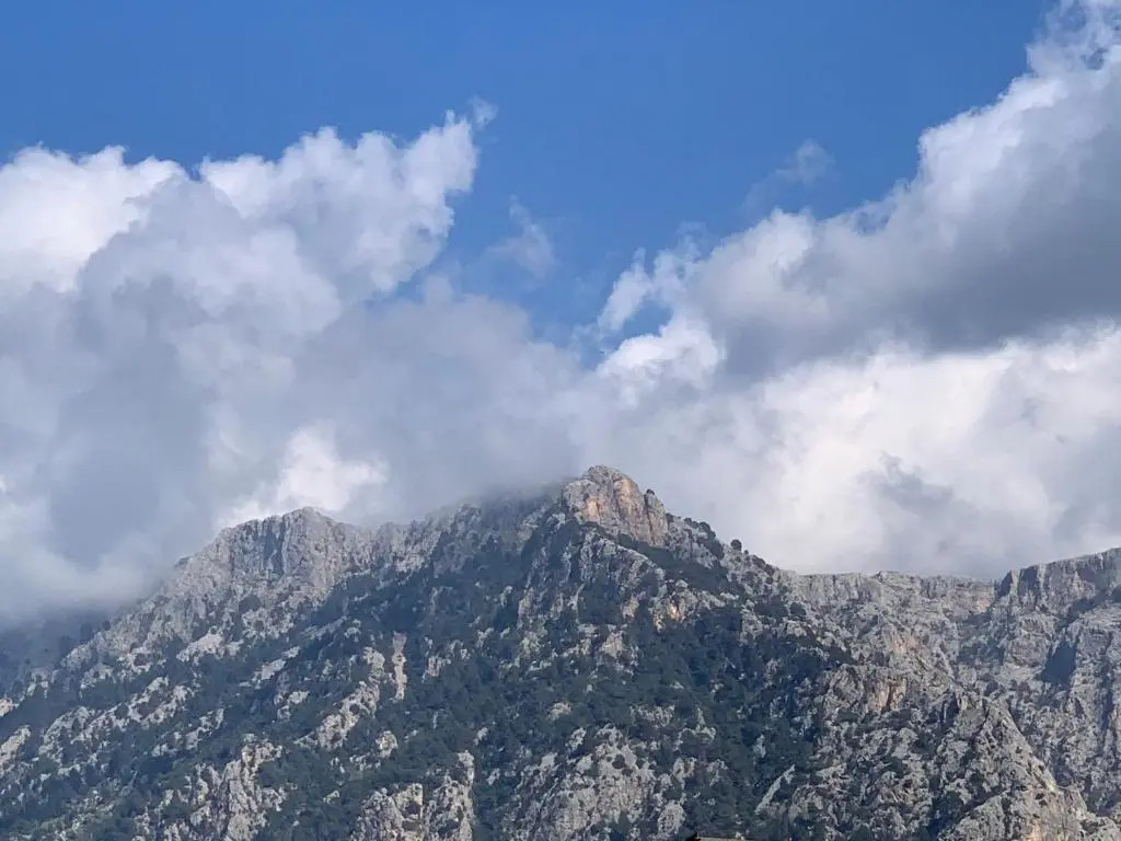 Foto - Hotel Casa Bougainvillea