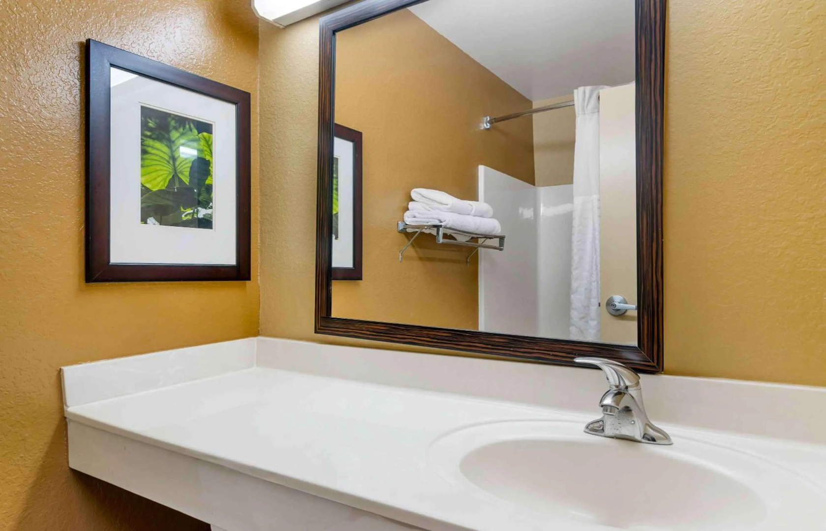 Photo - Extended Stay America Select Suites Tampa N USF Attractions
