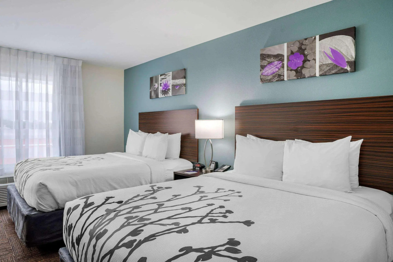 Foto - Sleep Inn & Suites near Westchase