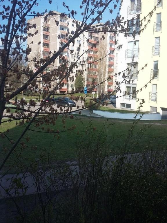 Dviejų kambarių butas