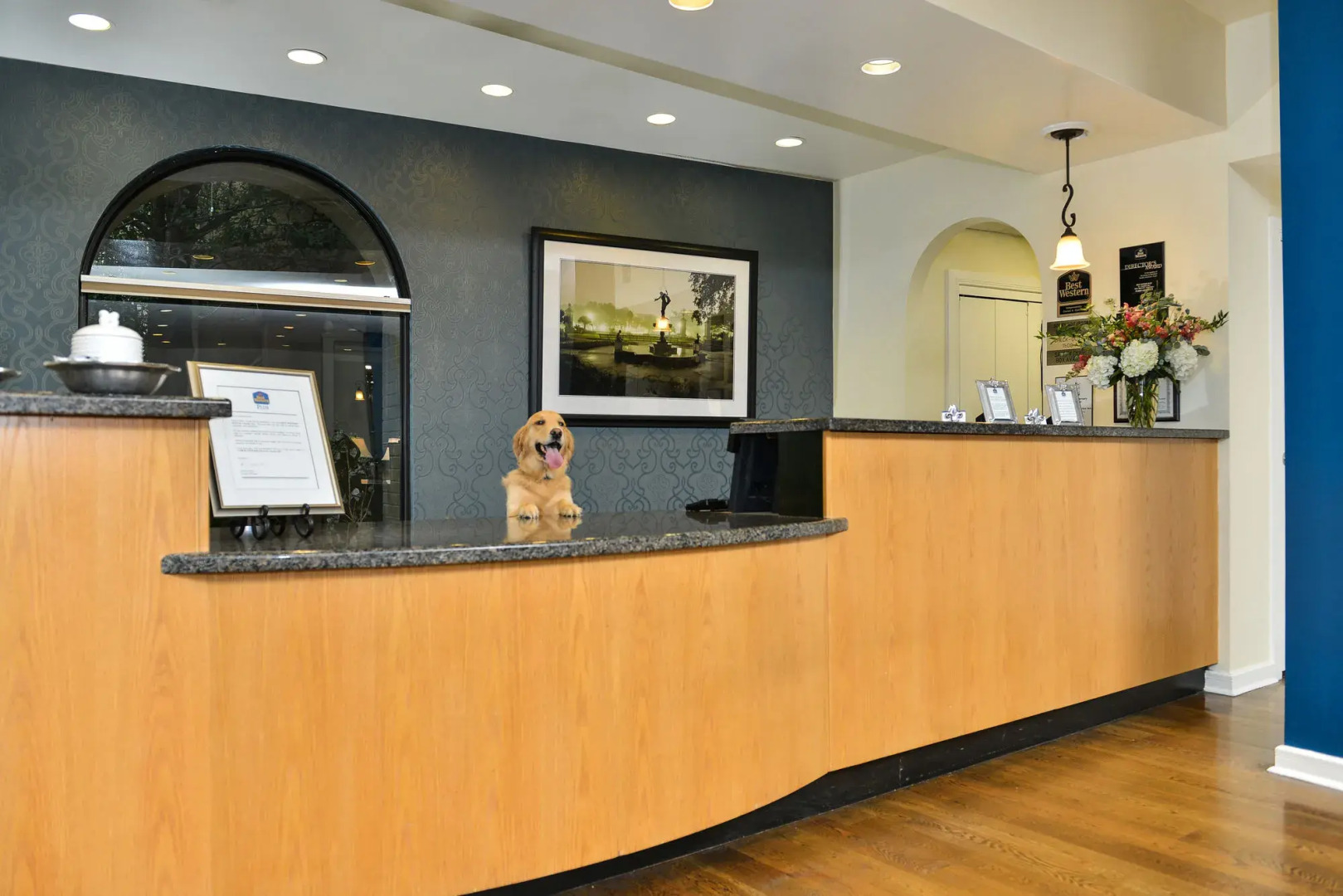 Photo - Hampton Inn New Orleans/St.Charles Ave