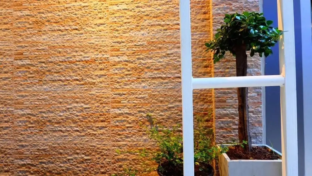 Foto - Cloud 9 Lodge