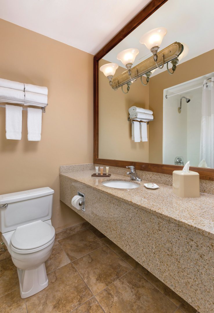 Photo - WorldMark Palm Springs - Plaza Resort and Spa