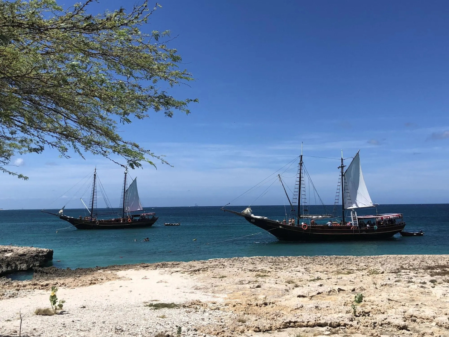 Photo - Boutique Hotel Swiss Paradise Aruba Villas and Suites