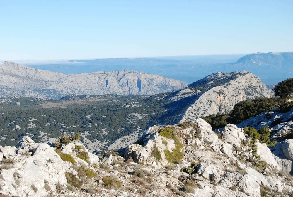 Foto - Gorropu Hotel