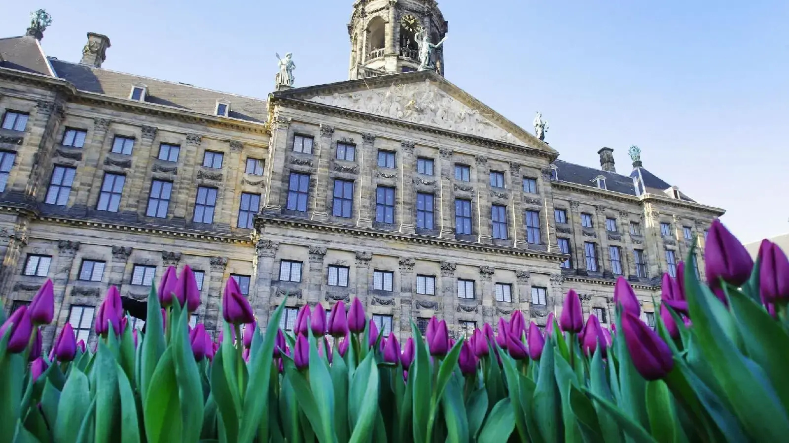 Foto - The Highlander Amsterdam