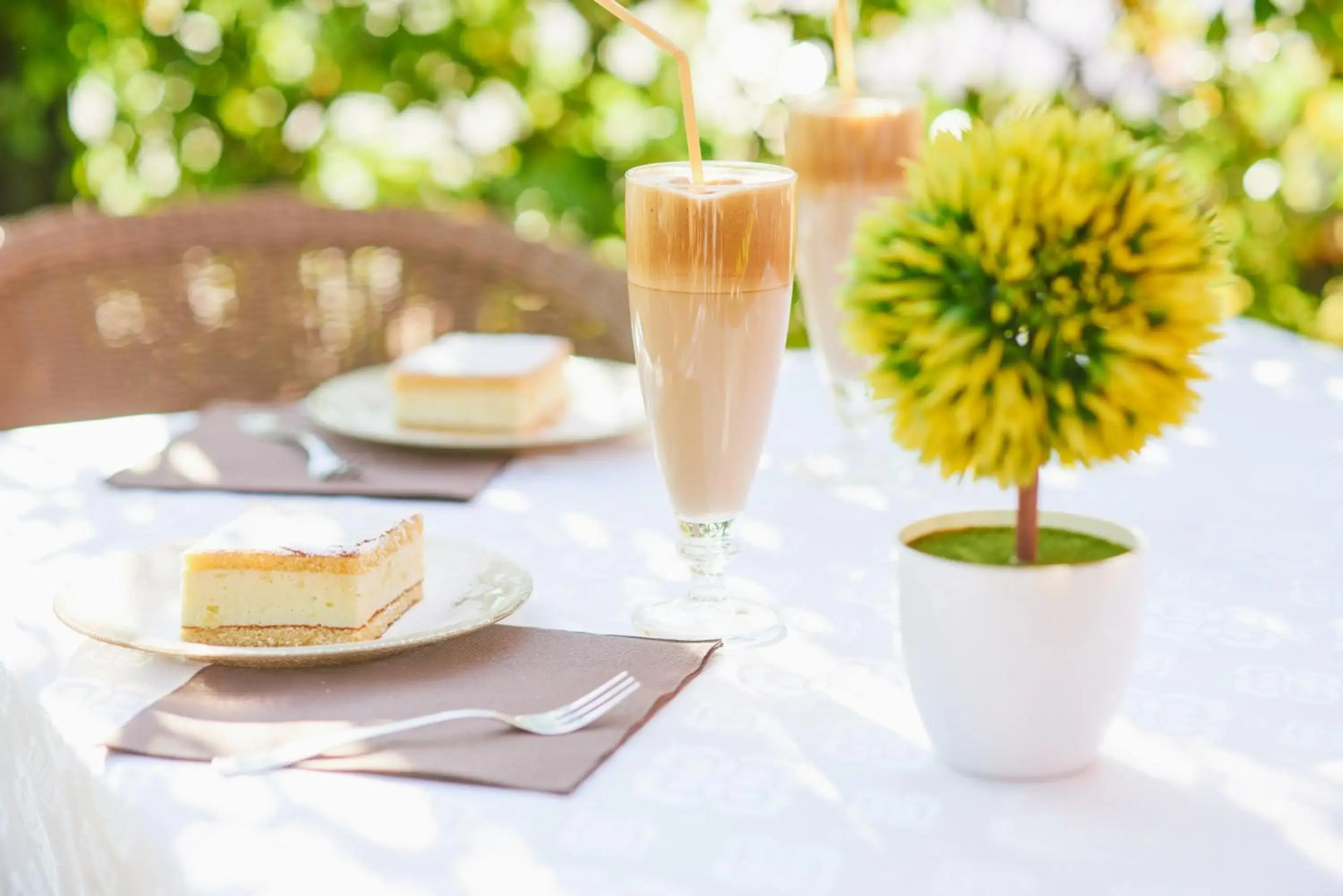 Photo - Hotel Laguna