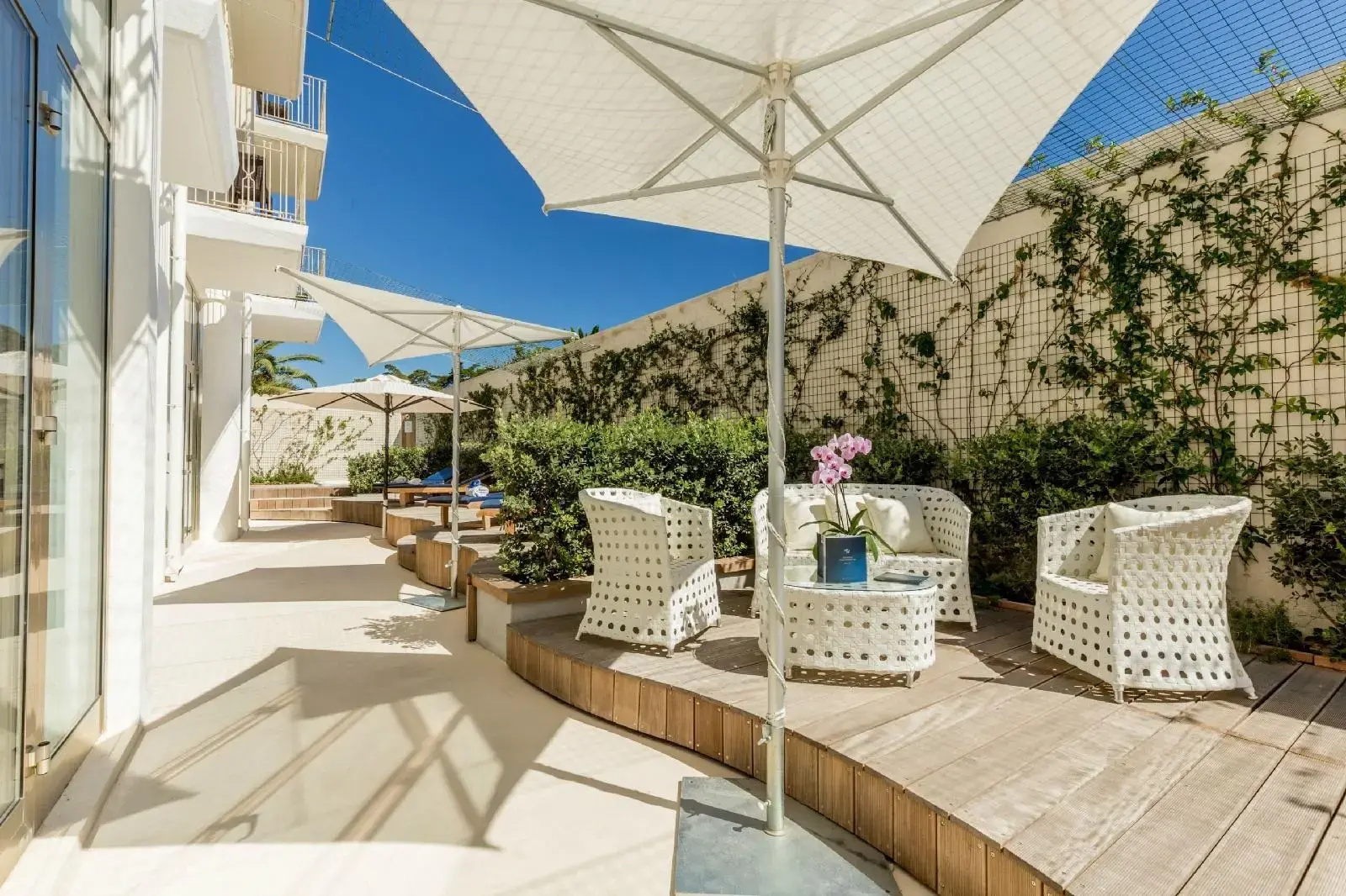 Foto - The Pelican Beach Resort & SPA - Adults Only